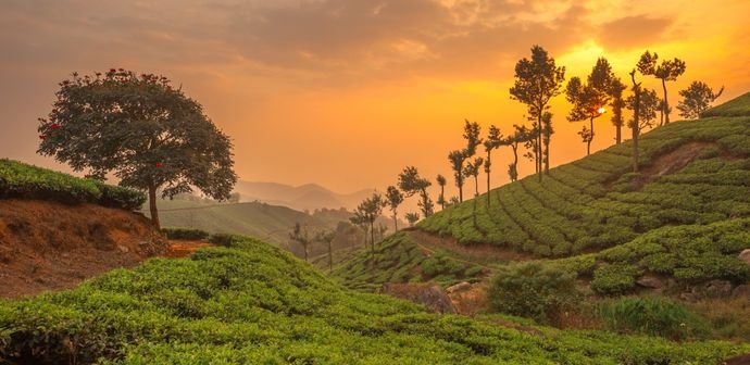 Affordable Kerala