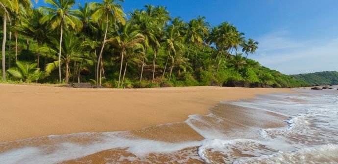 Discover Goa