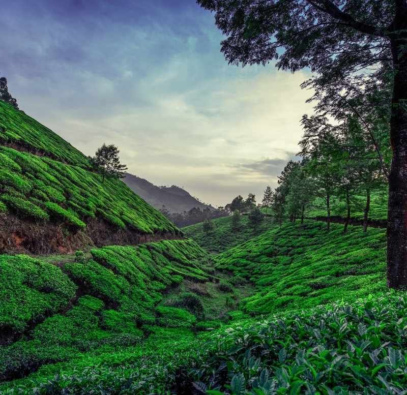 india tour packages
