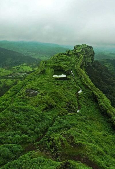 india trip package
