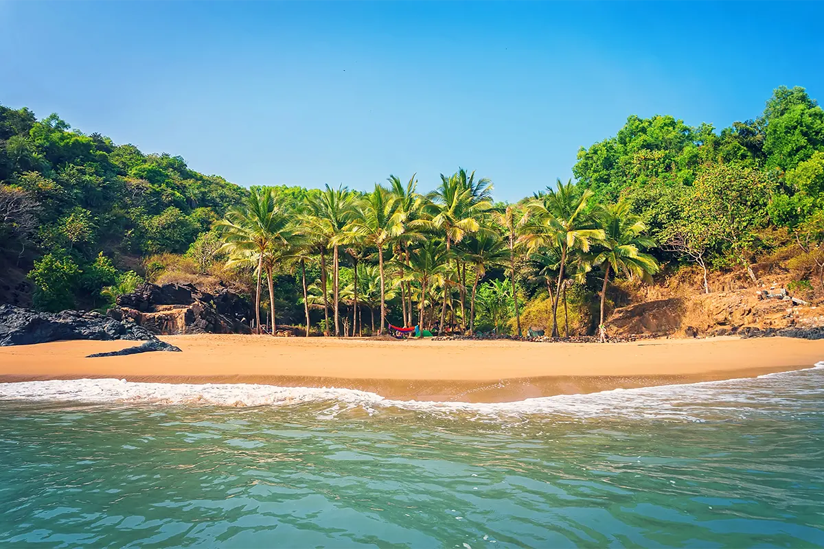 indian holiday packages