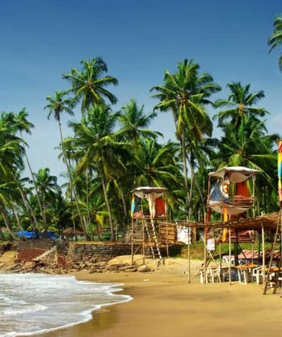 kerala tour packages